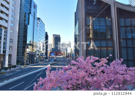 神谷町の河津桜　東京 112812944