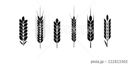 Wheat and rye logo ears. Barley rice grains and elements for beer or organic agricultural food. Vector 112813302