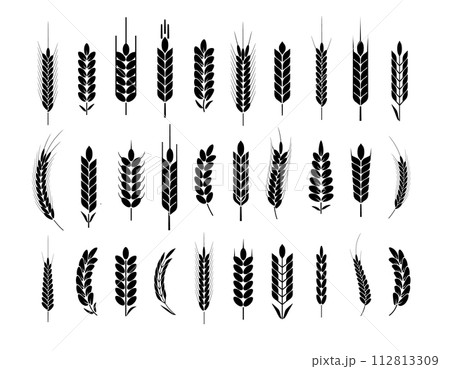 Wheat Ears Icons and Logo Set. For Identity Style. Organic wheat, bread agriculture. Vector 112813309