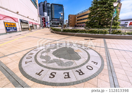 日本の相模原市都市景観　橋本駅前などを望む（画面中央の奥にJR橋本駅北口） 112813398