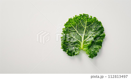 a studio photo of a single, fresh vegetable, isolated on a clear white background 112813497