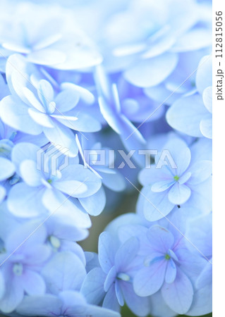 お気に入りの一枚 112815056