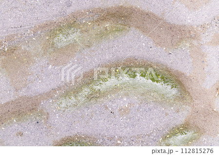 Brown sand beach wavy wet Moss along the water wave hole. Wavy sand background for summer designs. Abstract Texture background. 112815276