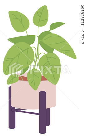 Houseplant icon. Decorative home greenery. Potted botany 112816260