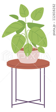 Green houseplant on stand. Home interior decoration icon 112816282