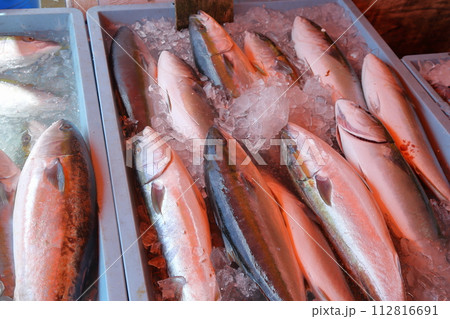 鮮魚市場の風景 鮮魚市場の風景 112816691