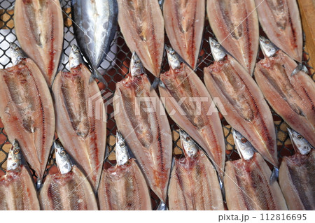 干し魚 天日干し 干し魚 天日干し 112816695
