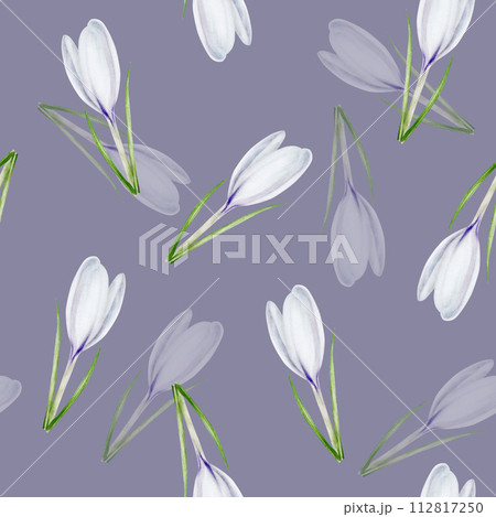 Watercolor seamless pattern with white blooming crocus flower isolated on background. Spring and easter botanical hand painted saffron illustration. For designers, wedding, decoration, postcards, 112817250