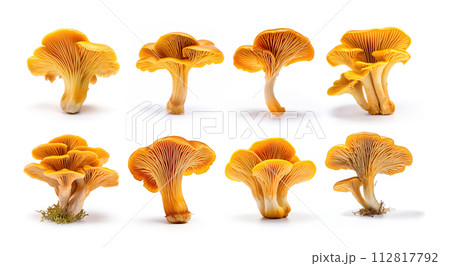Set of chanterelle mushrooms isolated on white background 112817792