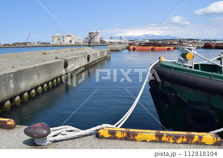 繋留用のボラード 繋留用のボラード 112818104