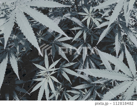 大量の大麻の葉とドットとモノクローム。デジタルでLoFIな雰囲気の背景イラスト。 大量の大麻の葉とドットとモノクローム。デジタルでLoFIな雰囲気の背景イラスト。 112818482
