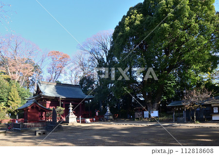 童謡「とうりゃんせ」の発祥の地とされる川越の三芳神社 112818608