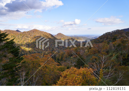 北海道 四季彩街道の景色 北海道 四季彩街道の景色 112819131