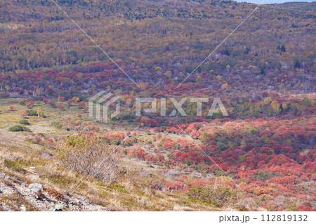北海道 樽前山の紅葉 北海道 樽前山の紅葉 112819132