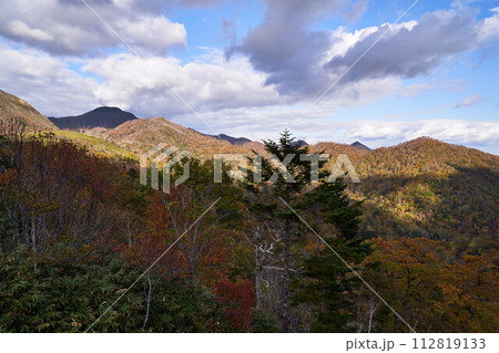 北海道 四季彩街道の景色 北海道 四季彩街道の景色 112819133