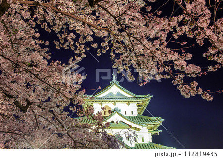 ライトアップされた弘前城 112819435