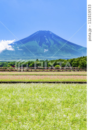 富士山と花畑 ~山中湖花の都公園~ 富士山と花畑 ~山中湖花の都公園~ 112819533