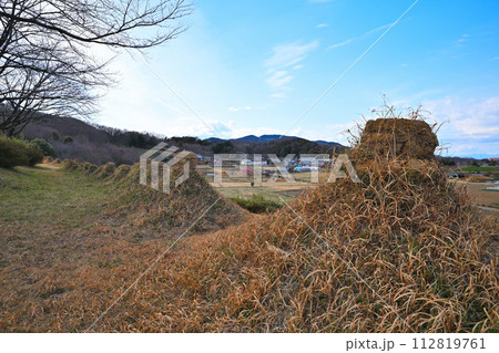 猪股の百八燈 冬景色 児玉郡美里町 猪股の百八燈 冬景色 児玉郡美里町 112819761