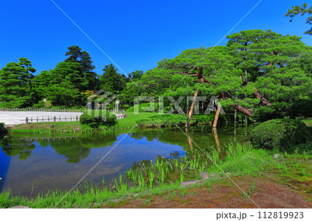 【石川県】快晴の兼六園（雪吊唐崎松） 112819923