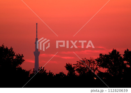 スカイツリー朝焼け-日の出 112820639