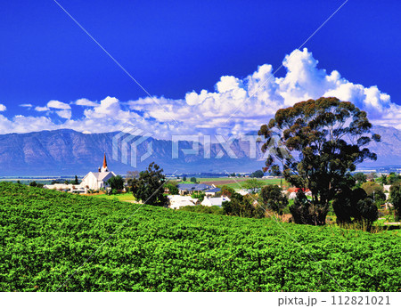 南アフリカ共和国のワイナリー 南アフリカ共和国のワイナリー 112821021