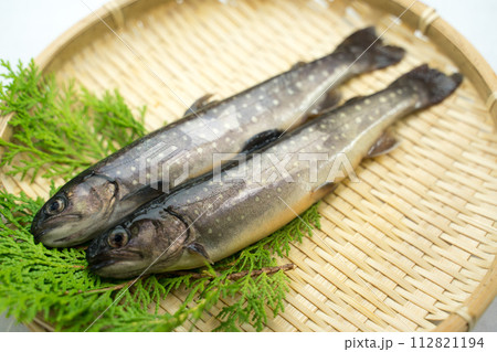 新鮮ないイワナの竹ざる盛り 112821194