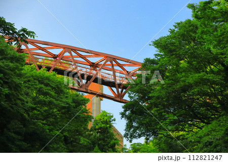 【石川県】万緑のあやとりはし 112821247