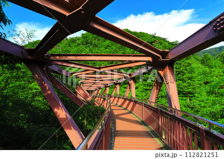 【石川県】万緑のあやとりはし 【石川県】万緑のあやとりはし 112821251