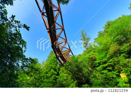 【石川県】万緑のあやとりはし 【石川県】万緑のあやとりはし 112821259