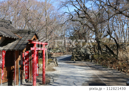 小諸城址懐古園内の散策路 小諸城址懐古園内の散策路 112821430