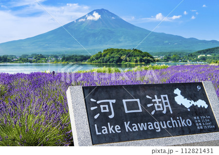 富士山とラベンダー ~河口湖大石公園~ 富士山とラベンダー ~河口湖大石公園~ 112821431