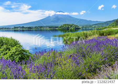 富士山とラベンダー ~河口湖大石公園~ 富士山とラベンダー ~河口湖大石公園~ 112821437