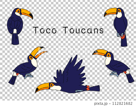 Hand-drawn toucan illustration material set Hand-drawn toucan illustration material set 112821682