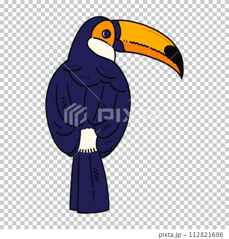 Hand drawn toucan illustration material 112821686