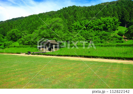 【福井県】晴天の一乗谷朝倉氏遺跡（朝倉館跡） 112822142