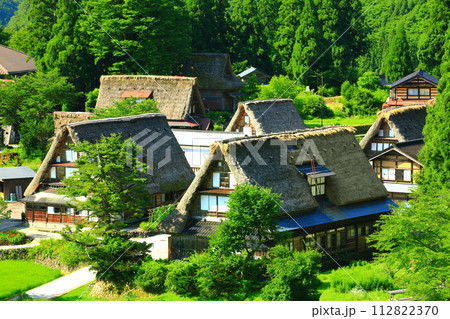 【富山県】新緑の五箇山相倉合掌集落の眺望 【富山県】新緑の五箇山相倉合掌集落の眺望 112822370