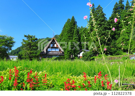 【富山県】新緑の五箇山相倉合掌集落 【富山県】新緑の五箇山相倉合掌集落 112822378