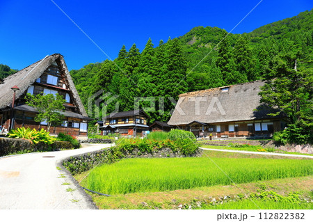 【富山県】新緑の五箇山相倉合掌集落 【富山県】新緑の五箇山相倉合掌集落 112822382