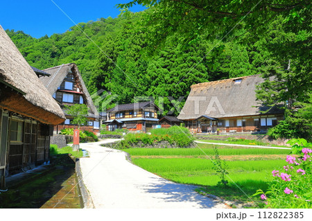 【富山県】新緑の五箇山相倉合掌集落 【富山県】新緑の五箇山相倉合掌集落 112822385