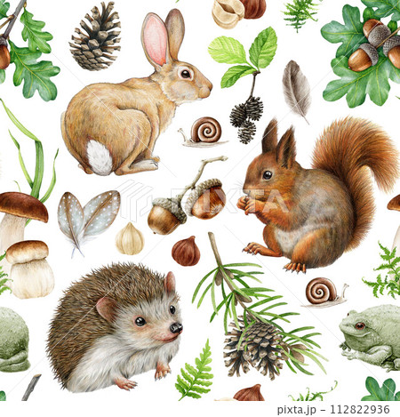 Forest animals with natural elements seamless pattern. Watercolor painted illustration. Hand drawn squirrel, hedgehog, bunny, mushroom, acorn elements. Cute wild forest animals seamless pattern 112822936
