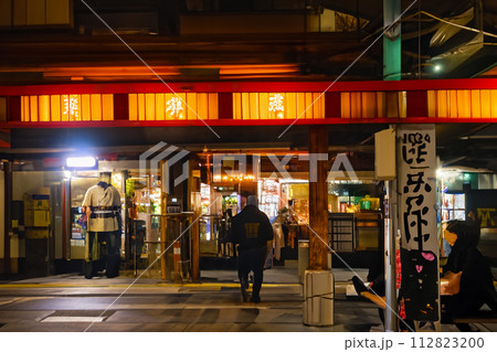 高架と線路の風景　日本　イメージ　駅　旅行　夢　AI生成 112823200