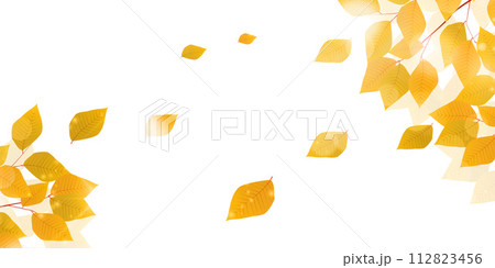 紅葉　葉　秋　背景	 112823456