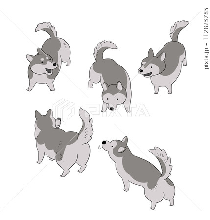 犬 シンプルで可愛いシベリアンハスキーのイラストセット 犬 シンプルで可愛いシベリアンハスキーのイラストセット 112823785