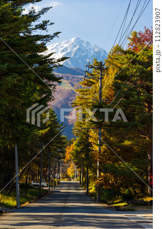 秋の長野 紅葉見頃の白馬 秋の長野 紅葉見頃の白馬 112823907