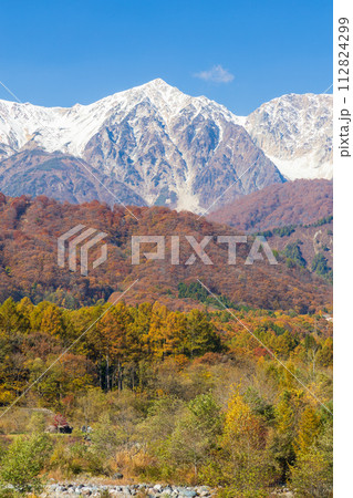 秋の長野県白馬　三段紅葉の白馬三山　白馬鑓ヶ岳 112824299