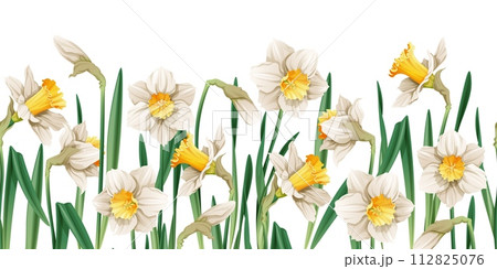 Seamless border of narcissus flowers on an isolated background. Illustration with spring flowers for Easter. Suitable for decor, fabric, cards, backgrounds, wallpapers Seamless border of narcissus flowers on an isolated background. Illustration with spring flowers for Easter. Suitable for decor, fabric, cards, backgrounds, wallpapers 112825076