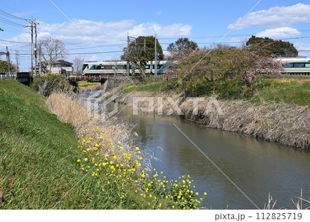 春の小川を渡る東武特急電車 春の小川を渡る東武特急電車 112825719
