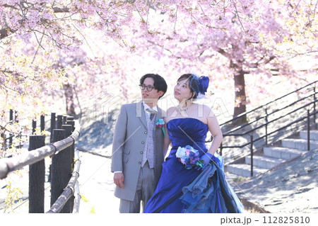 河津桜をバックにロイヤルブルーのカラード姿の新婦様フォトウエディングロケーション撮影ブライダルフォト 112825810
