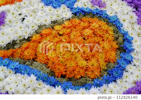 Flowers Flowers 112826140