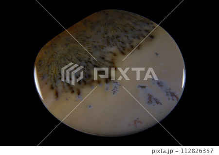 デンドリティック・アゲート 風景を宿す石 デンドリティック・アゲート 風景を宿す石 112826357